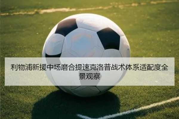 利物浦新援中场磨合提速克洛普战术体系适配度全景观察 | c7c7